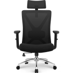 HR210 - Bürostuhl Ergonomischer Bürostuhl,Bürostuhl mit Weiches-3D-Lendenkissen